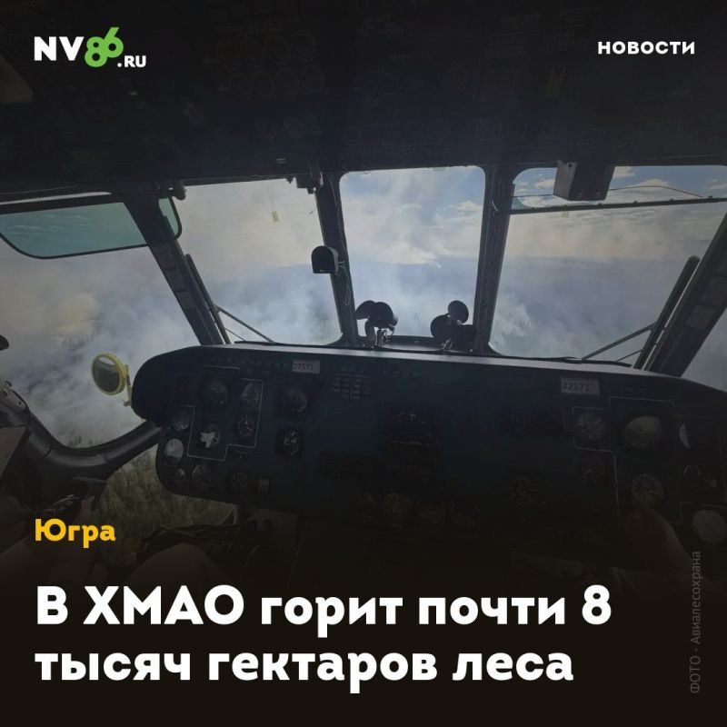 В ХМАО горит почти 8 тысяч гектаров леса
