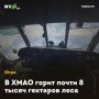 В ХМАО горит почти 8 тысяч гектаров леса