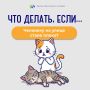 Продолжаем рубрику «Что делать, если…»