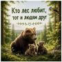 Берегите лес – наше общее богатство