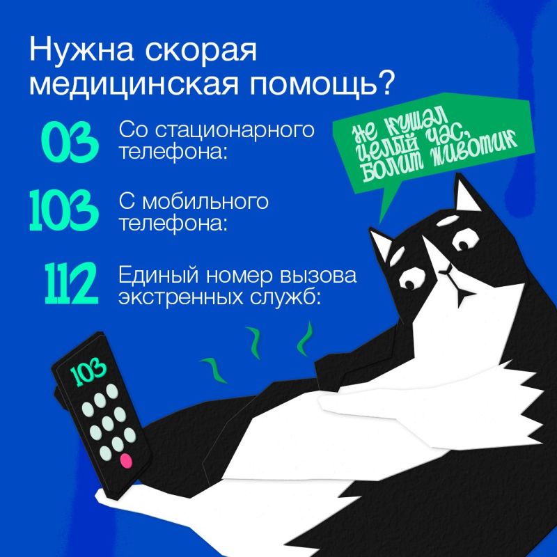 Югорчане, если случилось ЧП, помните, куда звонить? В карточках номера и подсказки, что сказать Югорчане, если случилось ЧП, помните, куда звонить? В карточках номера и подсказки, что сказать
