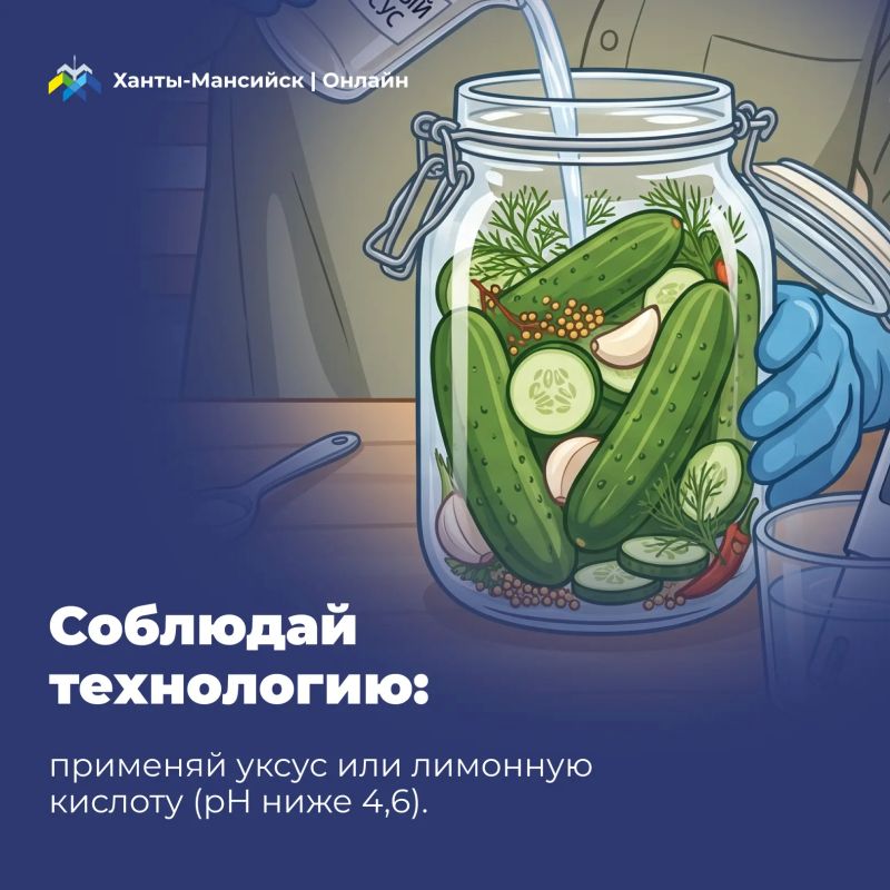 А ты уже начал заготавливать домашние соления? А ты уже начал заготавливать домашние соления?