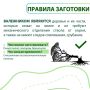 Валежник в лесу: что это и как собирать по закону?
