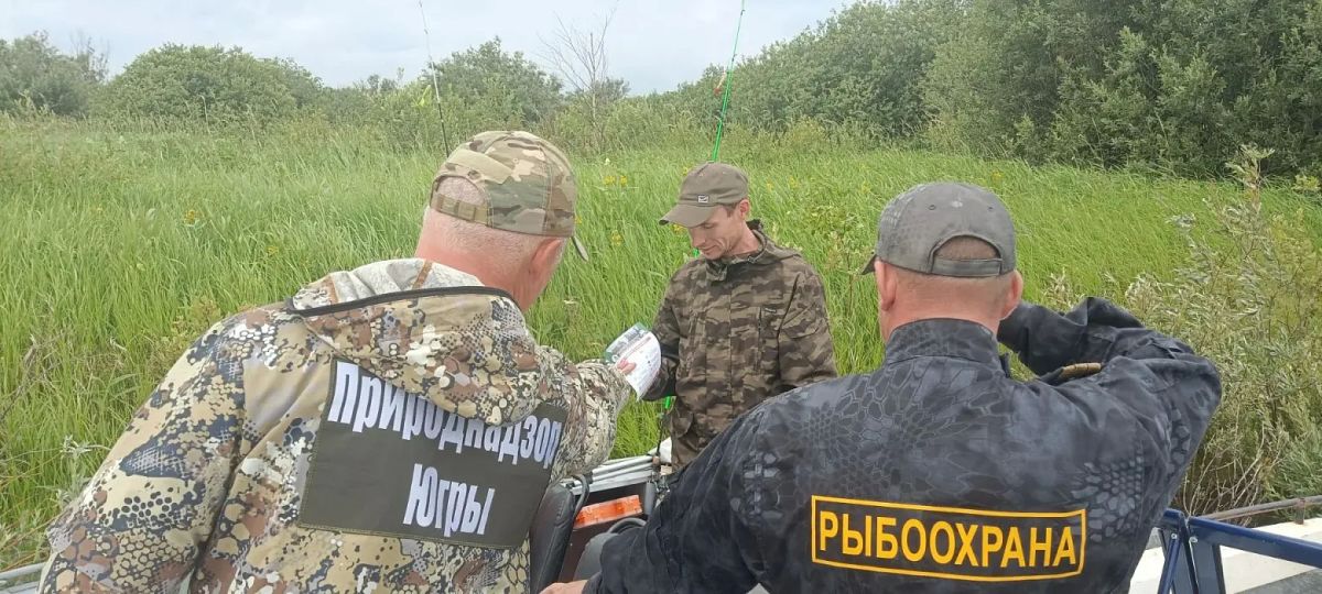 Операция «Овод»: в Югре прошёл совместный рейд по охране охотничьих ресурсов Операция «Овод»: в Югре прошёл совместный рейд по охране охотничьих ресурсов