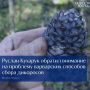 Внимание на проблему нарушений закона при сборе дикоросов обратил губернатор Югры Руслан Кухарук