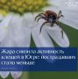 Жара снизила активность клещей в Югре: пострадавших стало меньше