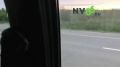 Медведицу с двумя медвежатами встретили вартовчане в районе нового кладбища