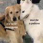 Пятницааа Кто-то сегодня вечером уже будет отдыхать, а кто-то продолжит отвечать на рабочие сообщения…