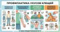 Сезон активности клещей начинается в середине апреля, а к середине мая их популяция достигает пика
