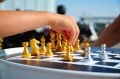 Всей семьёй за доской: шахматный фестиваль под открытым небом