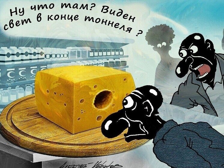 Мандарины в фокусе повседневного юмора: простые детали, которые поднимают настроение