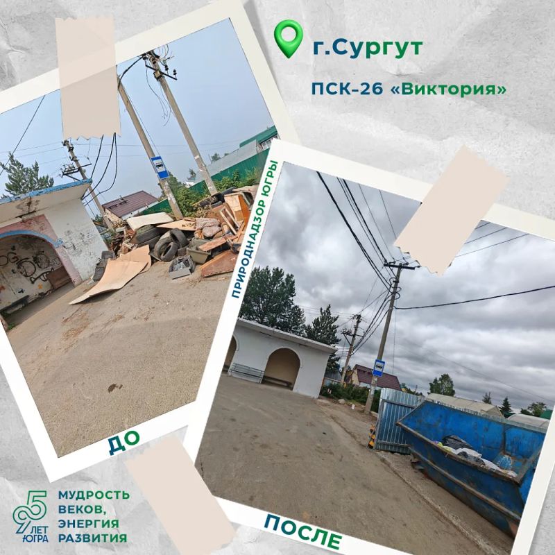 Хамство не прошло: как жительница Сургута наказала нарушителей Хамство не прошло: как жительница Сургута наказала нарушителей