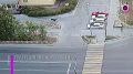 Лось заблудился в городе и погиб