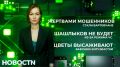 Один хотел установить себе VPN, другой устроиться на работу, но обоих в итоге обманули мошенники