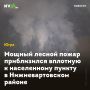 Мощный лесной пожар приблизился вплотную к населенному пункту в Нижневартовском районе