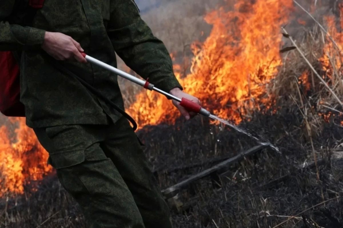 В Сургутском районе усиливают защиту населенного пункта от лесного пожара