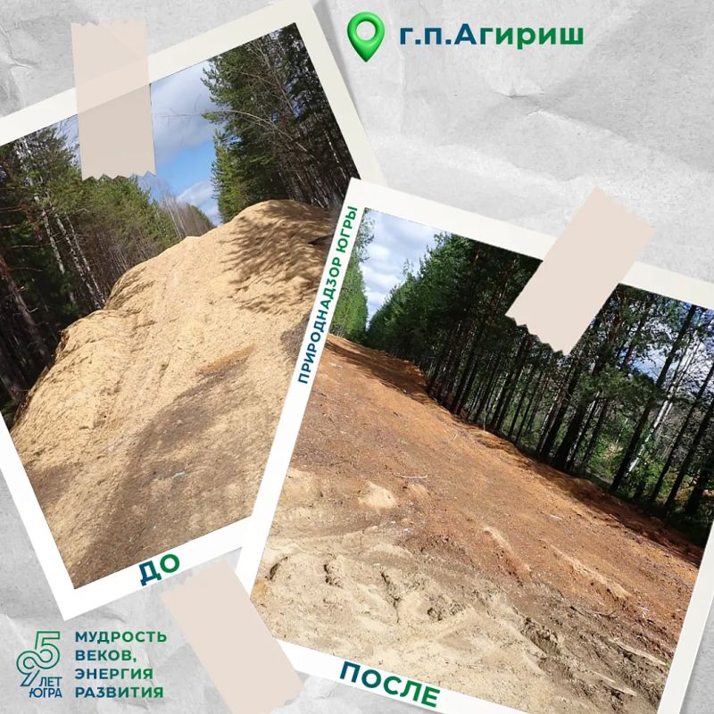 Два лесных участка в районе г.п. Агириш очищены от отходов