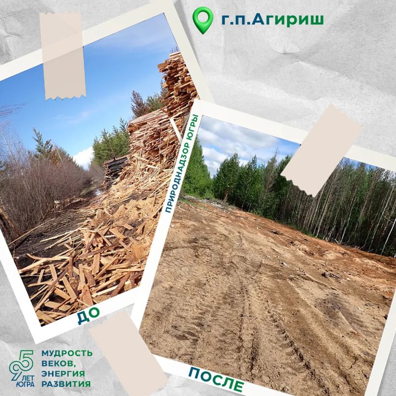 Два лесных участка в районе г.п. Агириш очищены от отходов Два лесных участка в районе г.п. Агириш очищены от отходов