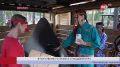 В Когалыме устроили этнодевичник