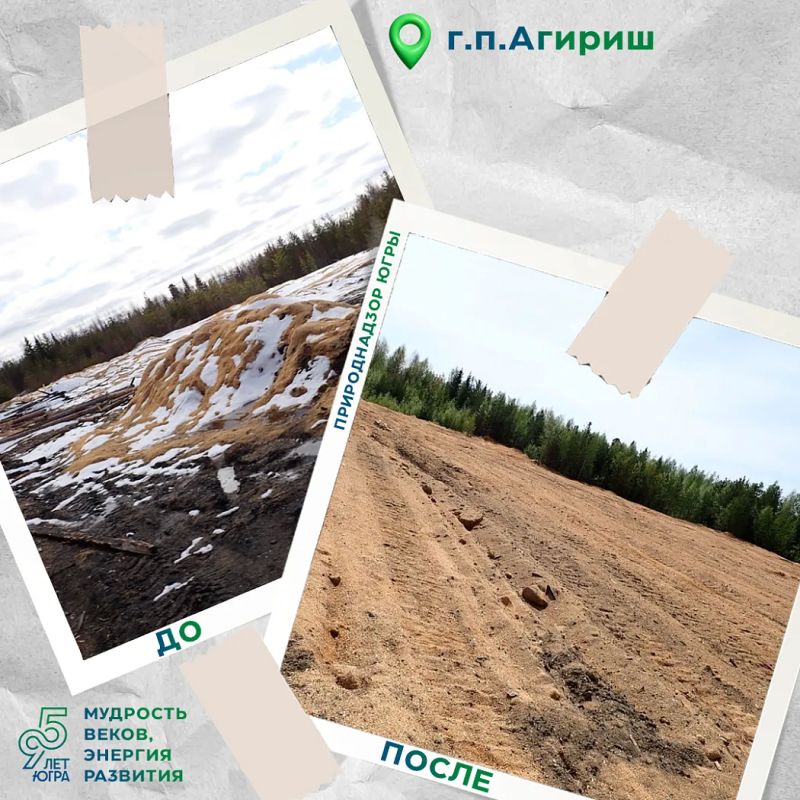 Два лесных участка в районе г.п. Агириш очищены от отходов Два лесных участка в районе г.п. Агириш очищены от отходов