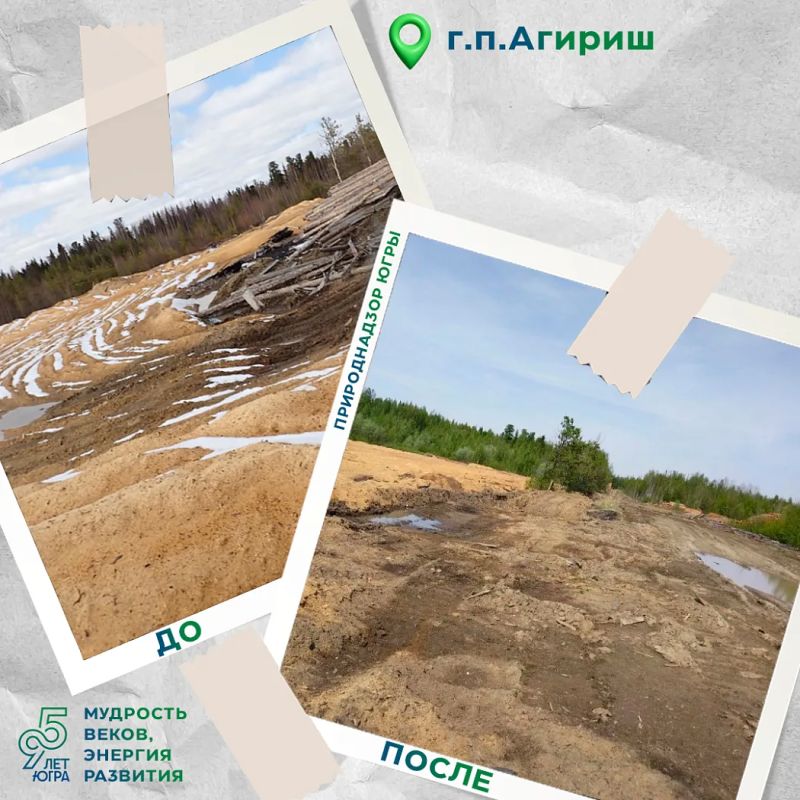 Два лесных участка в районе г.п. Агириш очищены от отходов Два лесных участка в районе г.п. Агириш очищены от отходов