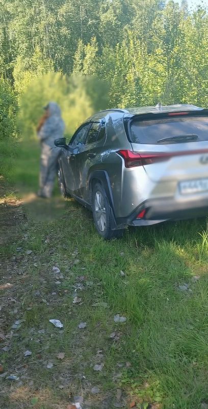 «Мы просто хотели пожарить сосиски…» — так начинаются истории, которые потом становятся сводками о пожарах «Мы просто хотели пожарить сосиски…» — так начинаются истории, которые потом становятся сводками о пожарах