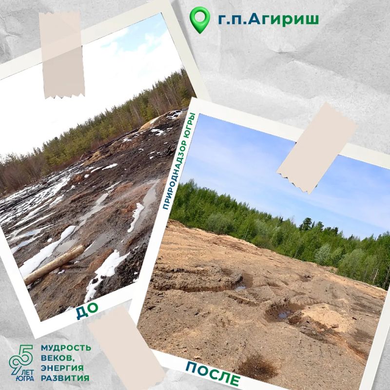 Два лесных участка в районе г.п. Агириш очищены от отходов Два лесных участка в районе г.п. Агириш очищены от отходов