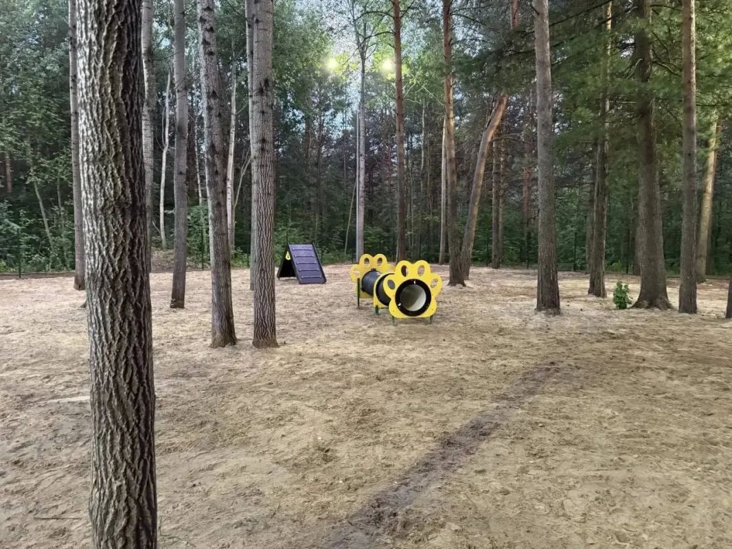 Площадка для выгула собак в парке «За Саймой» стала светлее и безопаснее Площадка для выгула собак в парке «За Саймой» стала светлее и безопаснее