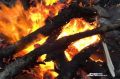 В Сургутском районе с 25 июля ввели особый противопожарный режим
