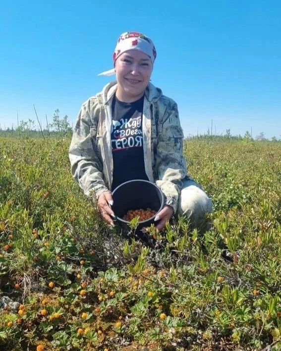 В Югре завершается сезон морошки В Югре завершается сезон морошки