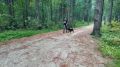 В лесном комплексе «Ягом» прошли открытые городские соревнования по экстремальному каникроссу «Дух Тайги» - для любителей бега с собакой