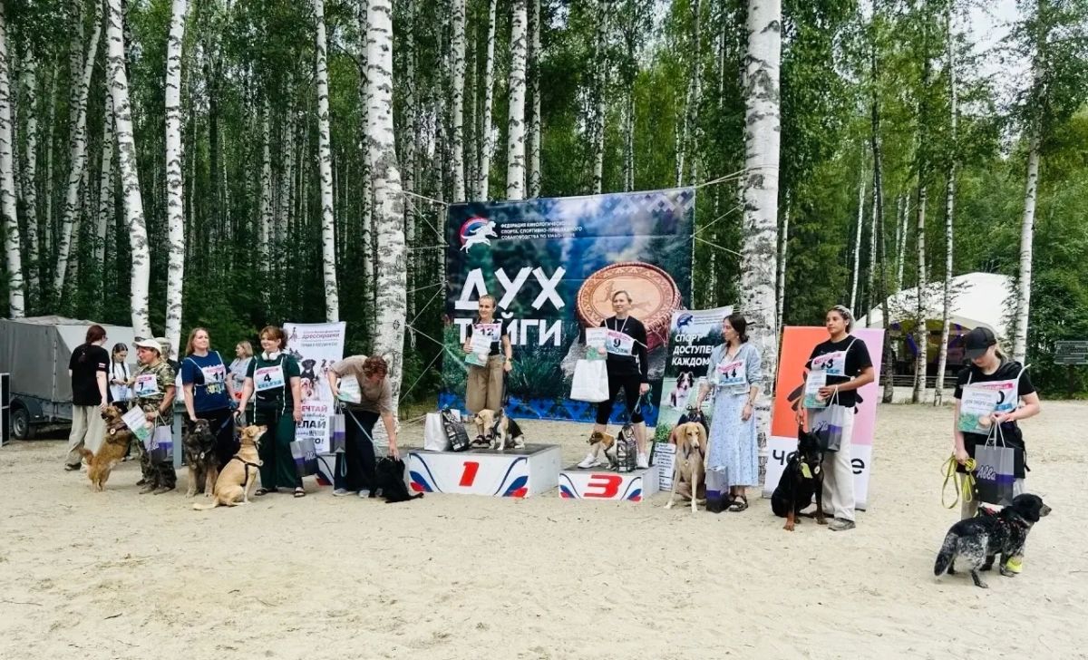 В лесном комплексе «Ягом» прошли открытые городские соревнования по экстремальному каникроссу «Дух Тайги» - для любителей бега с собакой В лесном комплексе «Ягом» прошли открытые городские соревнования по экстремальному каникроссу «Дух Тайги» - для любителей бега с собакой