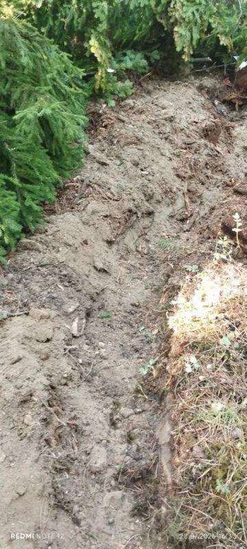 «Авиалесоохрана» опубликовала уникальные кадры, подтверждающие природную причину лесных пожаров в Югре «Авиалесоохрана» опубликовала уникальные кадры, подтверждающие природную причину лесных пожаров в Югре