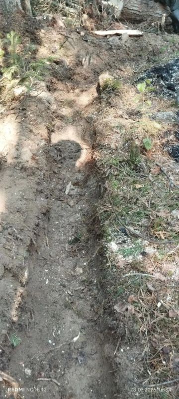 «Авиалесоохрана» опубликовала уникальные кадры, подтверждающие природную причину лесных пожаров в Югре «Авиалесоохрана» опубликовала уникальные кадры, подтверждающие природную причину лесных пожаров в Югре