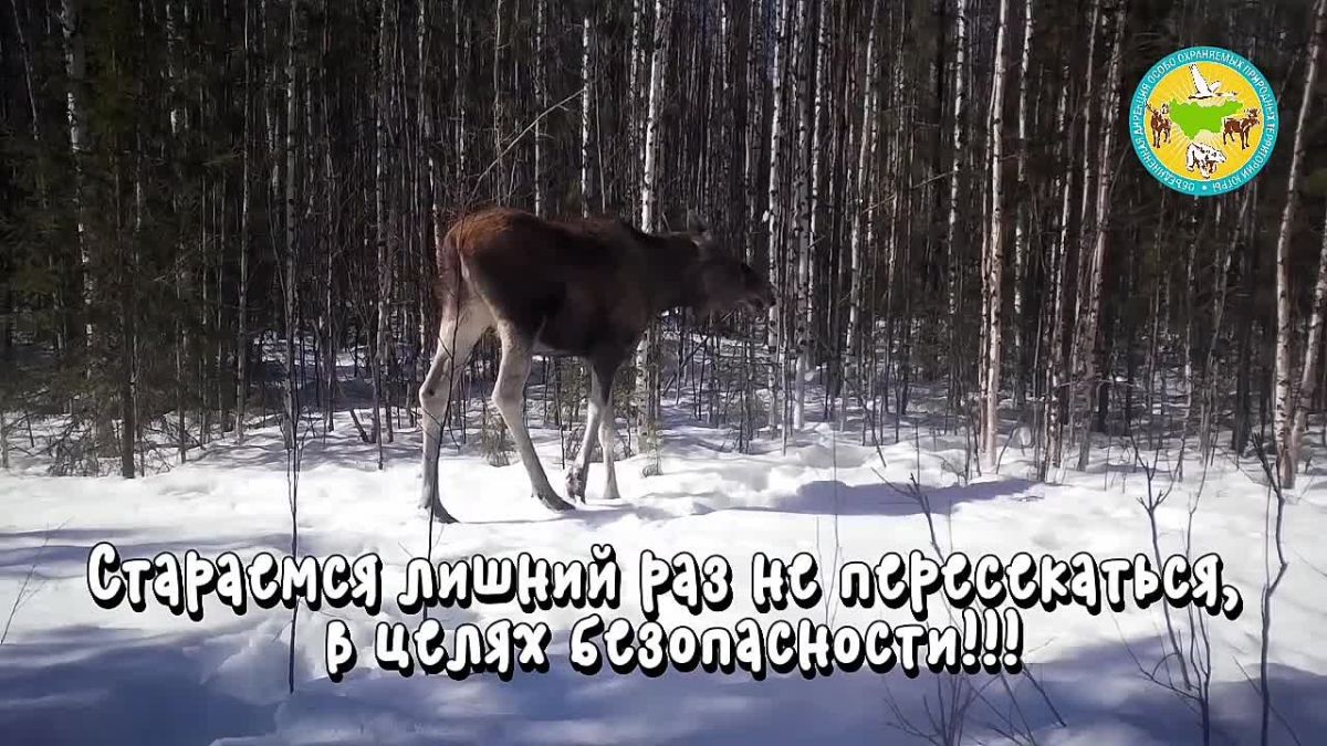 Летний пост – зимняя история