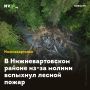 В Нижневартовском районе из-за молнии вспыхнул лесной пожар