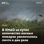 В ХМАО за сутки количество лесных пожаров увеличилось почти в два раза