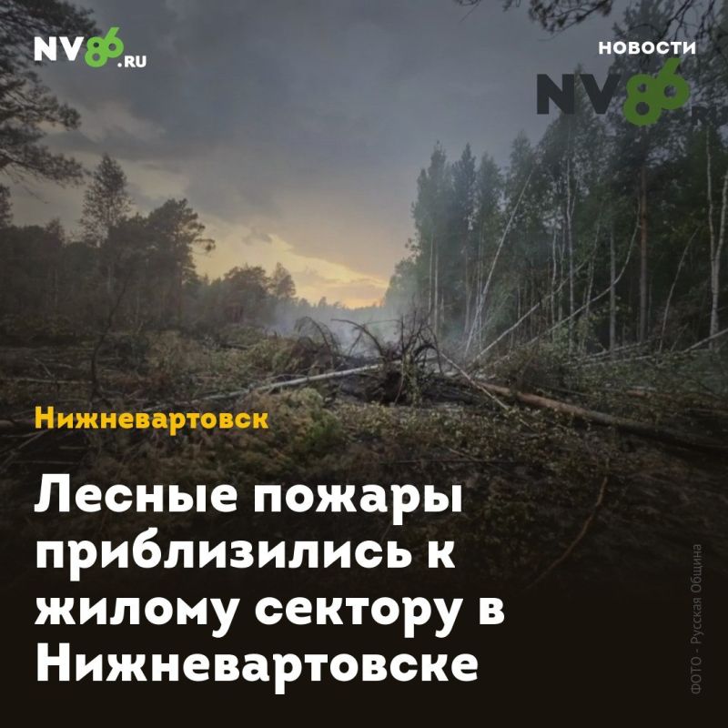 Лесные пожары приблизились к жилому сектору в Нижневартовске