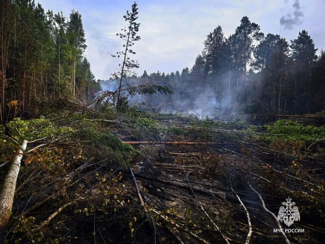 В Нижневартовском районе продолжаются работы по ликвидации лесных пожаров В Нижневартовском районе продолжаются работы по ликвидации лесных пожаров