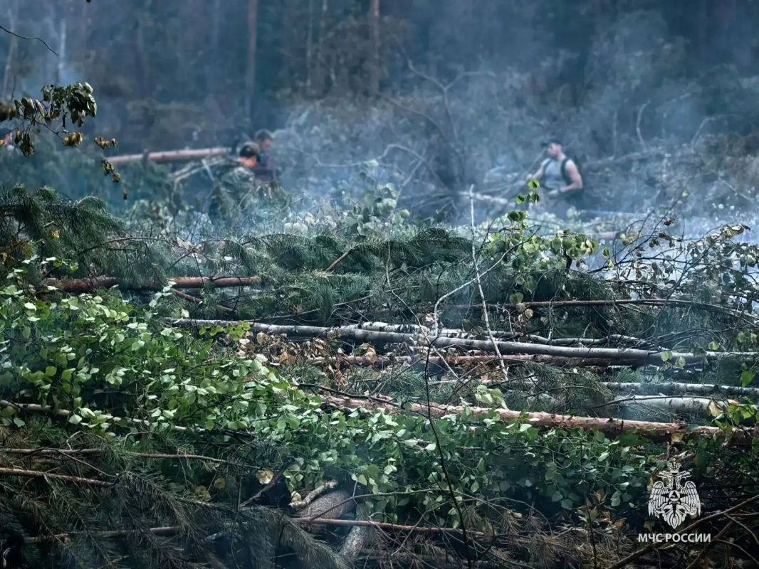 В Нижневартовском районе продолжаются работы по ликвидации лесных пожаров В Нижневартовском районе продолжаются работы по ликвидации лесных пожаров
