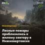 Лесные пожары приблизились к жилому сектору в Нижневартовске