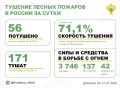 За прошедшие сутки в 12 регионах России потушили 56 лесных пожаров