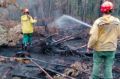 Возле Нижневартовска локализовали лесной пожар
