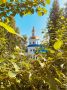 Искренняя улыбка и долгий сон - два самых лучших врача в мире