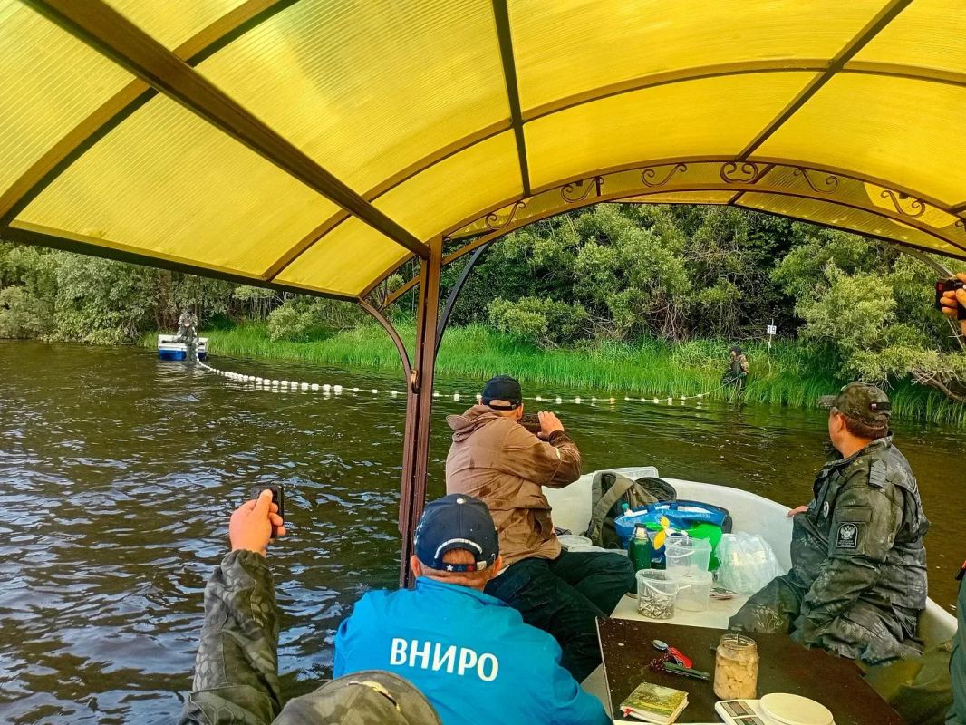 Путешествие молоди муксуна: «вырос в тихом озере и теперь отправляется в большое плавание» Путешествие молоди муксуна: «вырос в тихом озере и теперь отправляется в большое плавание»