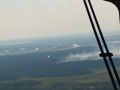Лесных пожаров стало меньше
