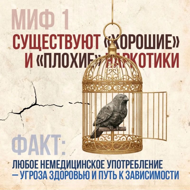 Что скрывается за мифами о наркотиках Что скрывается за мифами о наркотиках