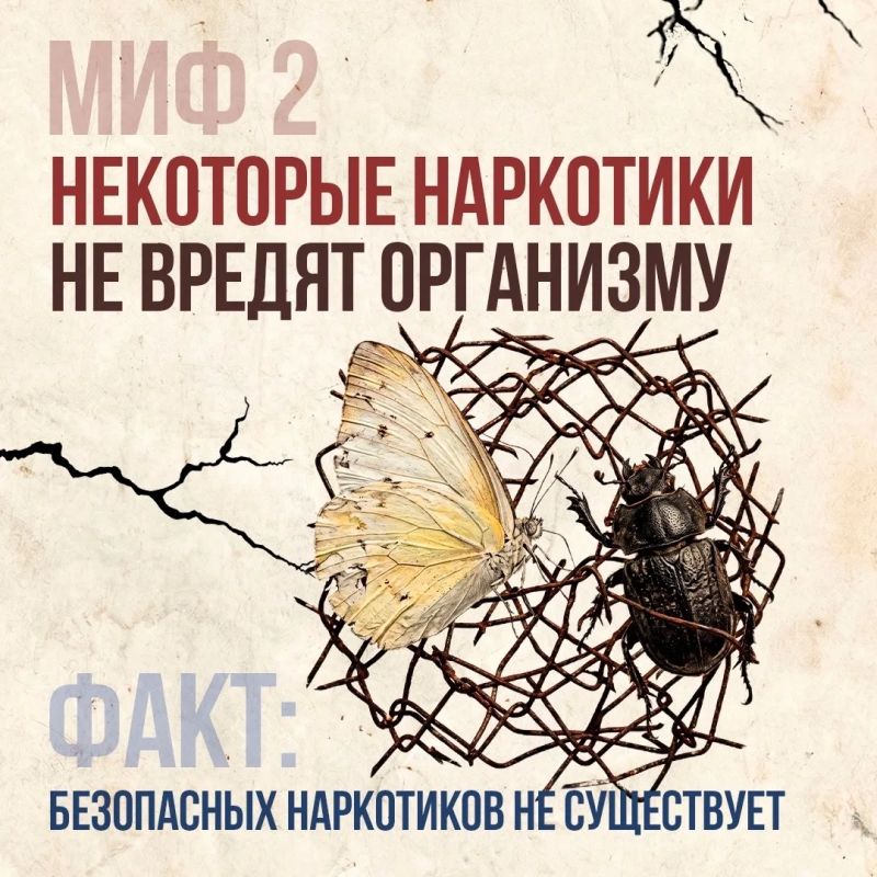 Что скрывается за мифами о наркотиках Что скрывается за мифами о наркотиках