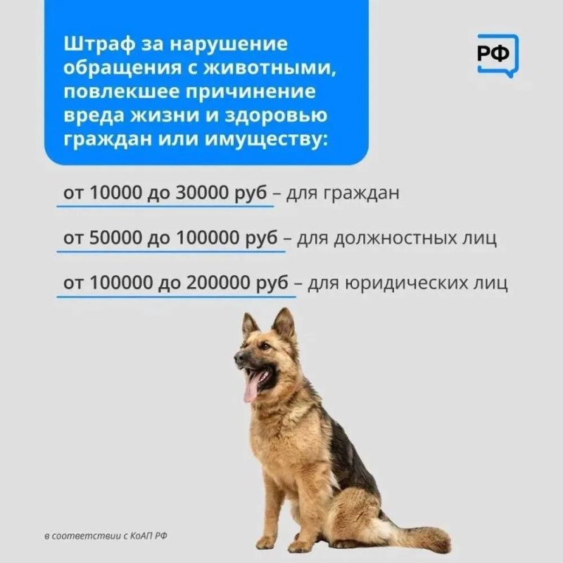В Нижневартовске продолжается зоозащитная акция «Не бросай меня на даче» В Нижневартовске продолжается зоозащитная акция «Не бросай меня на даче»
