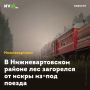 В Нижневартовском районе лес загорелся от искры из-под поезда